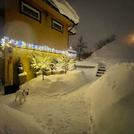 In Center By Dada Tromso